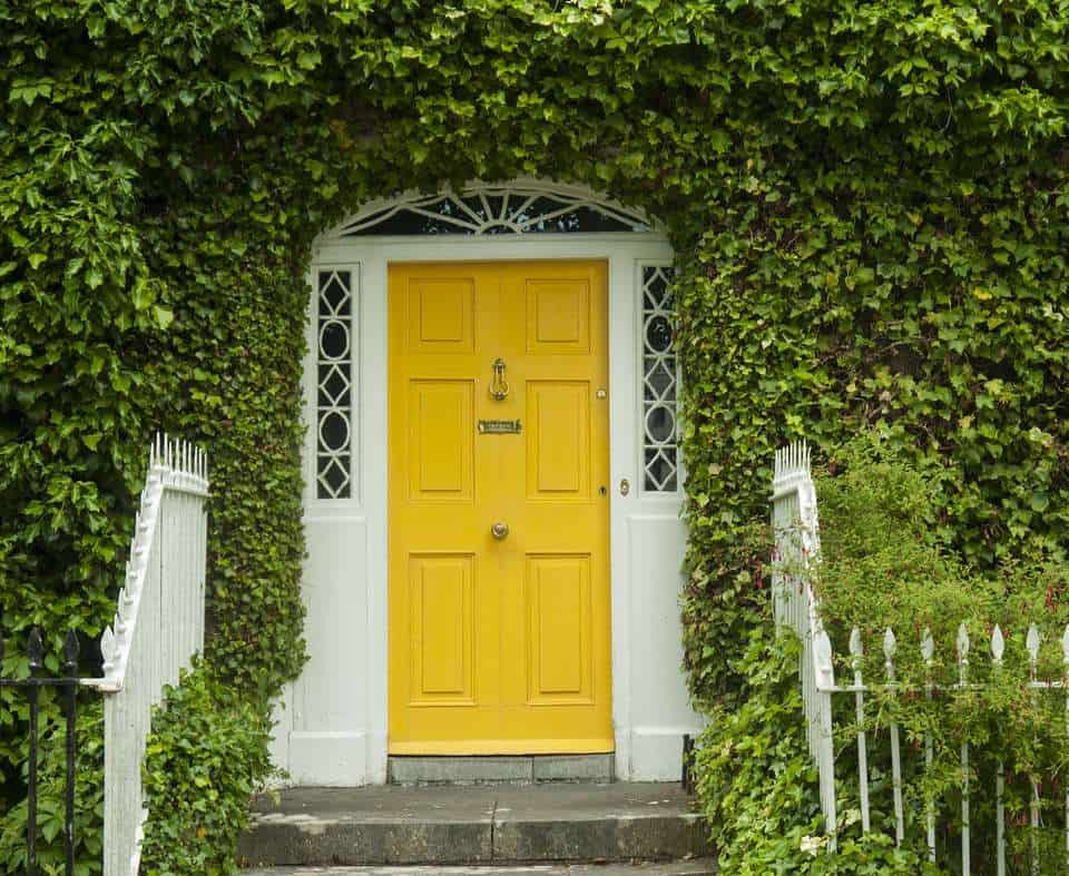 Yellow front door surrounded by ivy